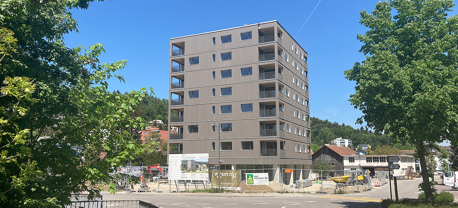 residential project Rudolfstetten Swiss