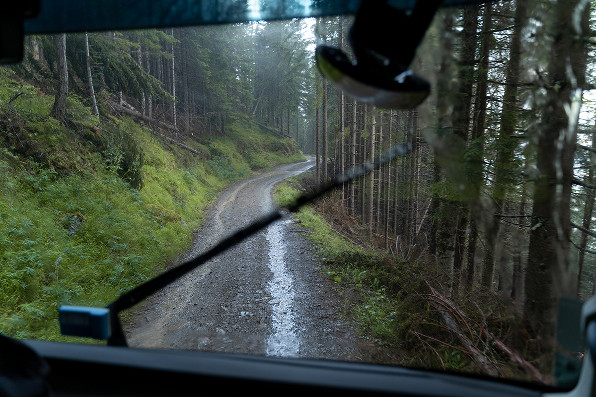 Holzweg LKW im Wald bei Rundholzabholung